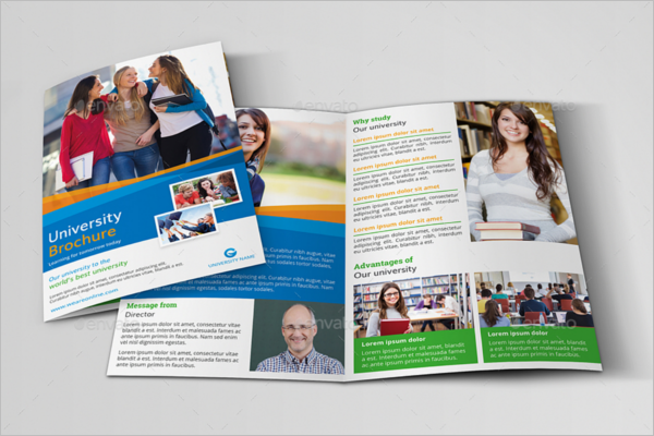 Educational Brochure Templates Free Psd Word Designs