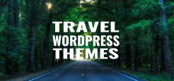 22+ Travel WordPress Themes