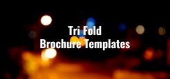 22+ Tri Fold Brochure Templates 2017