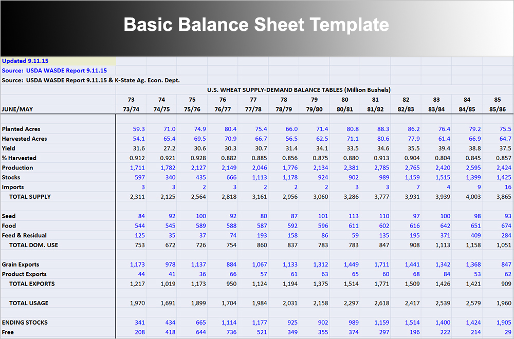 Basic Balance Sheet Template