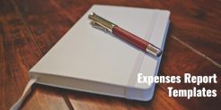 Expenses Report Template - Free Word,Excel to Download