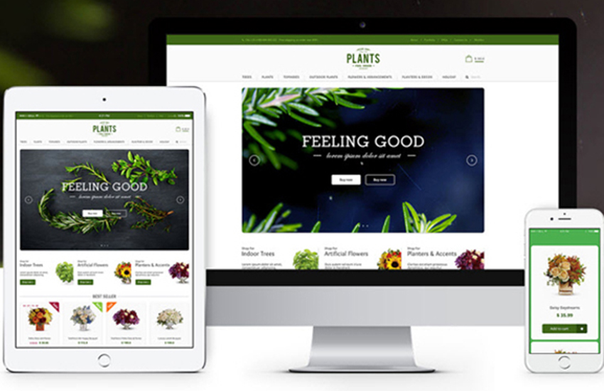Flowers Online Store Magento Template