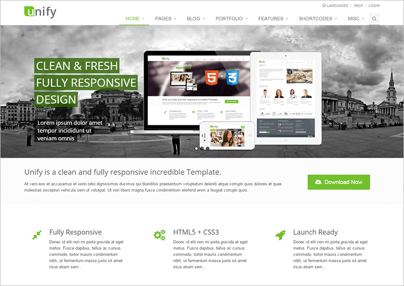 Fully Responsive Bootstrap 3 Template