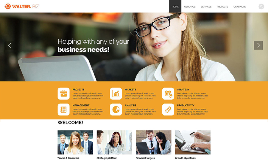 Responsive HTML5 Business Site Template