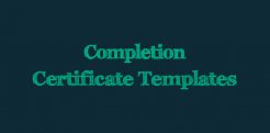 Sample Completion Certificate Templates