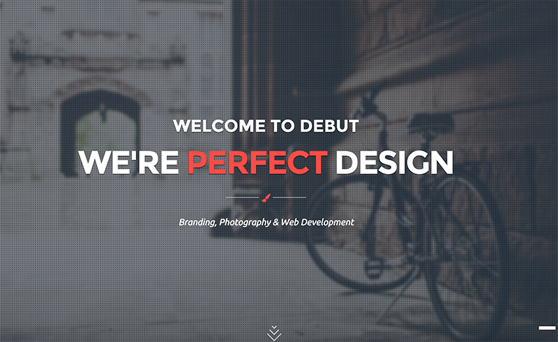 Onepage Parallax Template