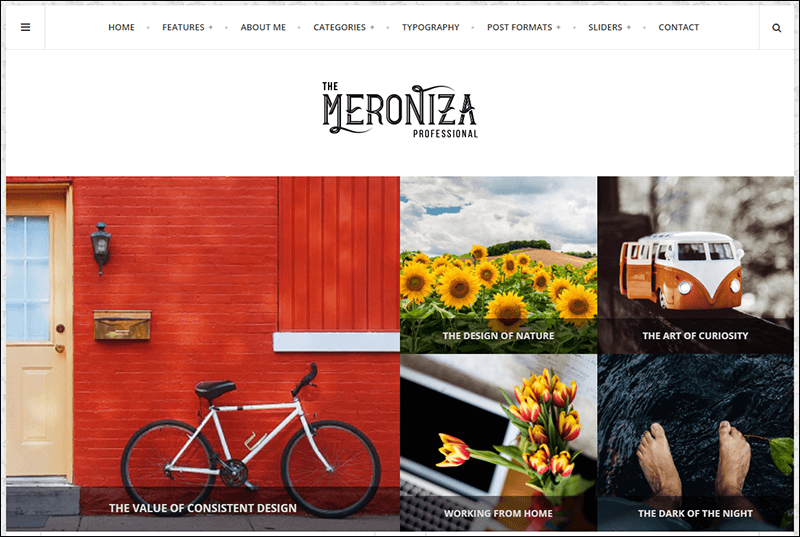 Meroniza - A Responsive & Elegant Tumblr Theme