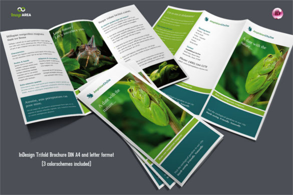 flexible-trifold-zoo-brochure