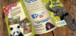10+ Zoo Brochure Templates