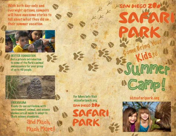 san-diego-zoo-brochure-template