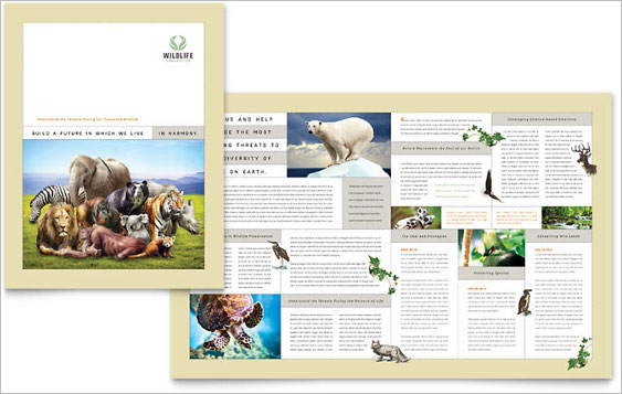 wild-life-conservation-brochure-template