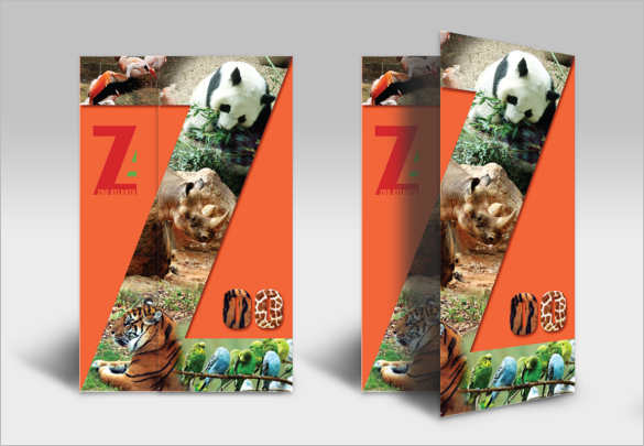 zoo-brochure-temoplate