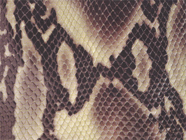 reptile-scaled-texture