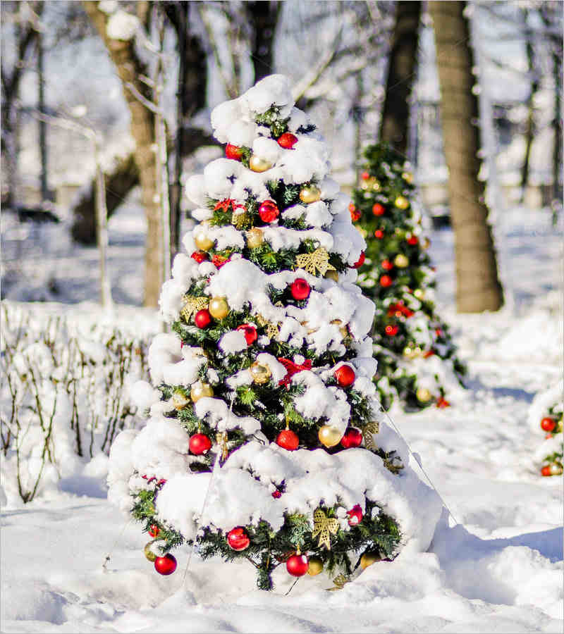 wintertime-snow-christmas-arrangement