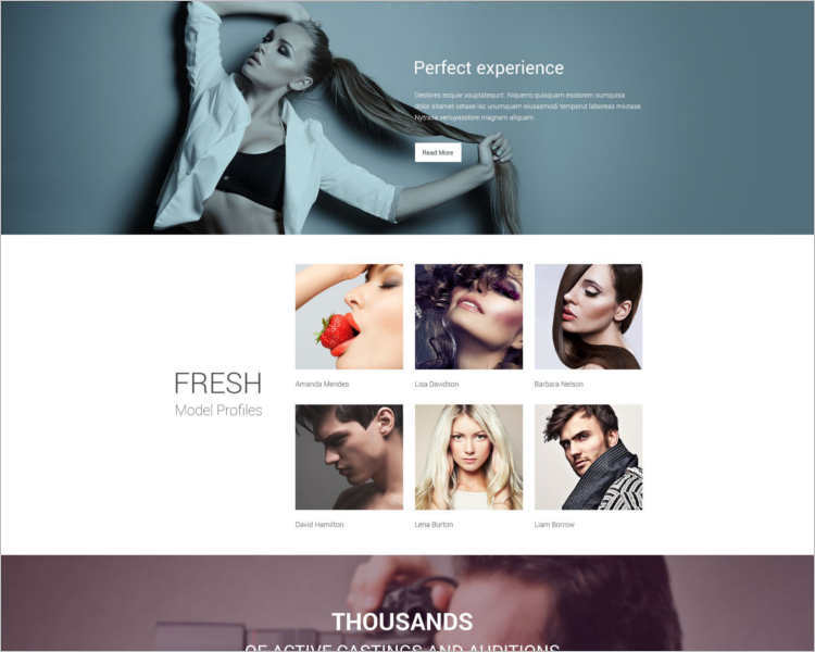 premium-model-agency-website-templates
