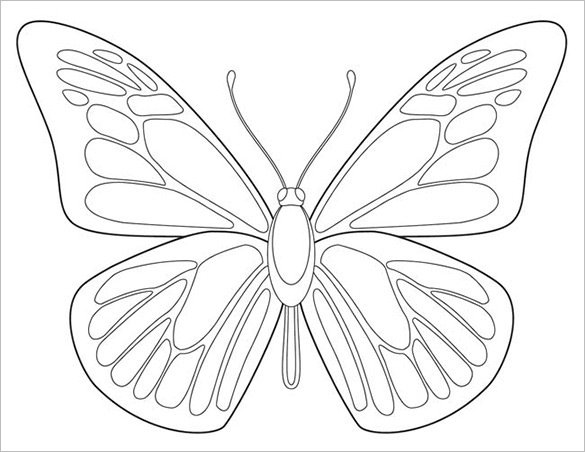 Butterfly Body Outline Templates