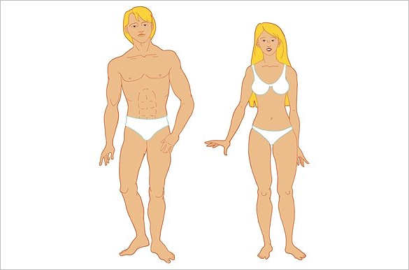 Download Body Outline Templates