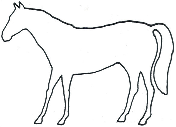 Horse Body Outline Templates