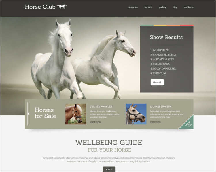 11+ Premium Horse WordPress Themes