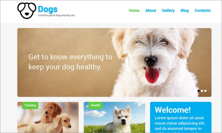 Finest Pet Animals WordPress Theme