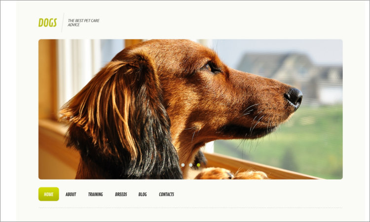 Dog Templates WordPress Themes