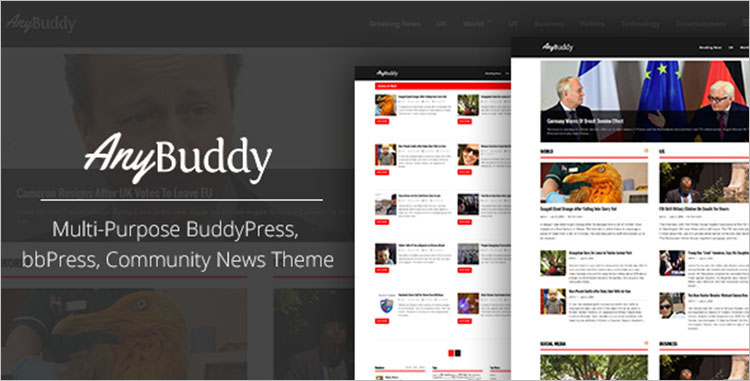 Multi-Purpose BuddyPress Themes & Templates