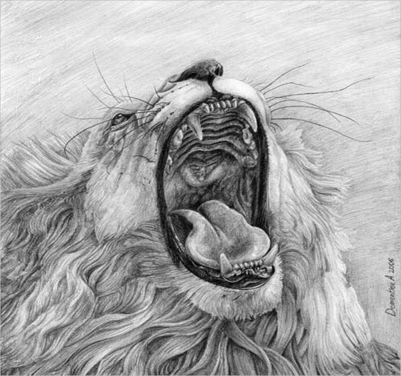 Roaring Lion Mouth Drawing Design