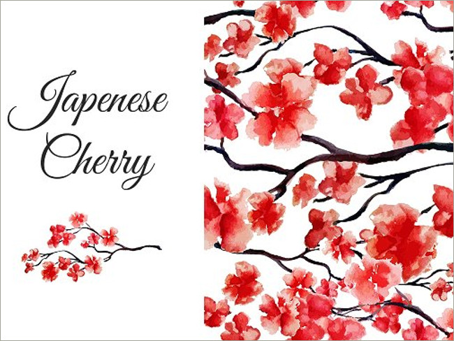 cherry blossoms 10