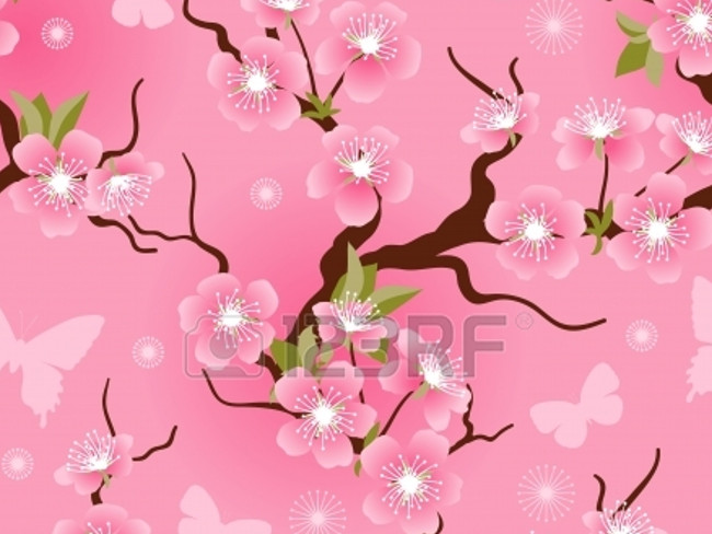 cherry blossoms 26