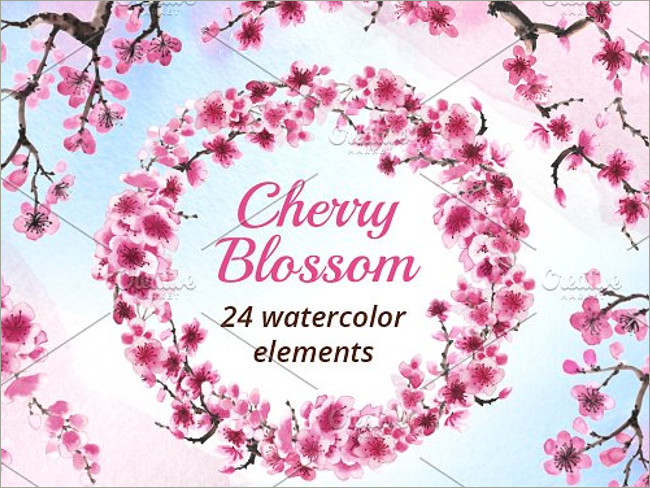 cherry blossoms 3