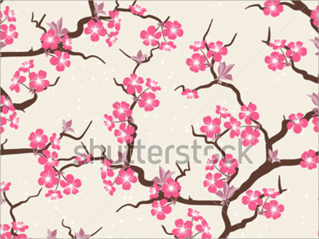 cherry blossoms 32