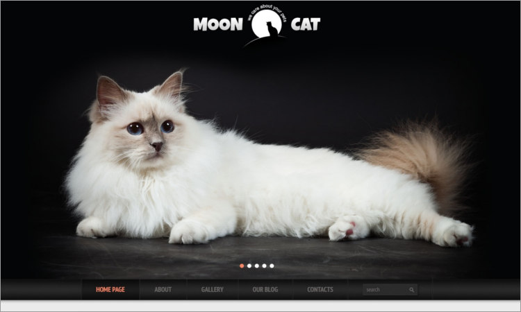best Cat Responsive WordPress Theme