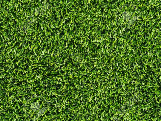 Artificial Grass Lawn Texture Design