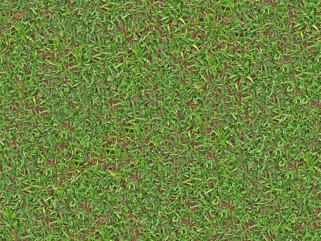 Fully Mixed Lawn Texture Design