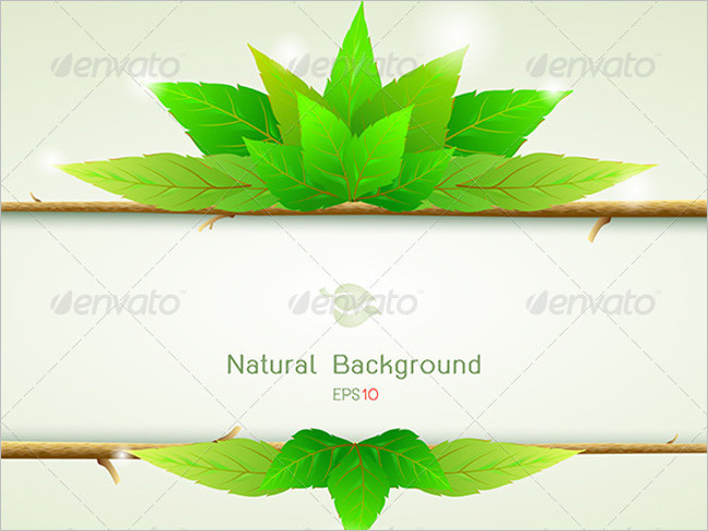 Natural Organic Paper Texture