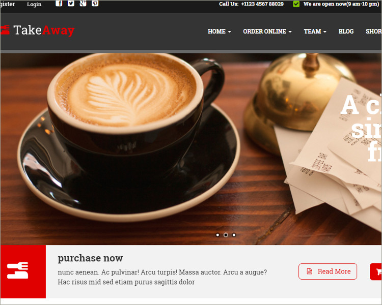 17+ AngularJS WordPress Themes & Templates Free & Premium
