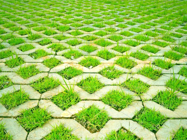 Striped Lawn texture design
