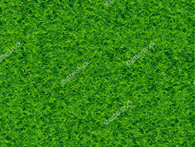 Vector lawn texture design