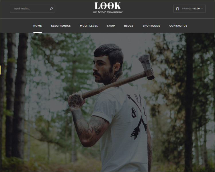17+ AngularJS WordPress Themes & Templates Free & Premium