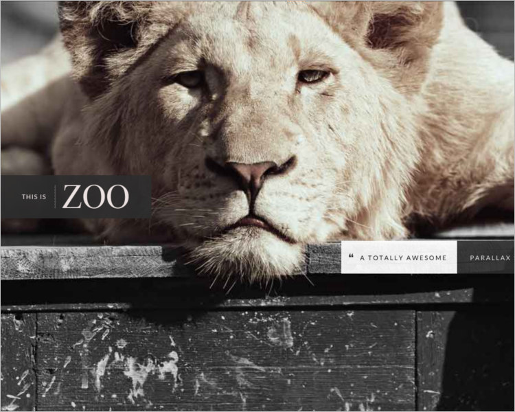 Zoo WordPress Template