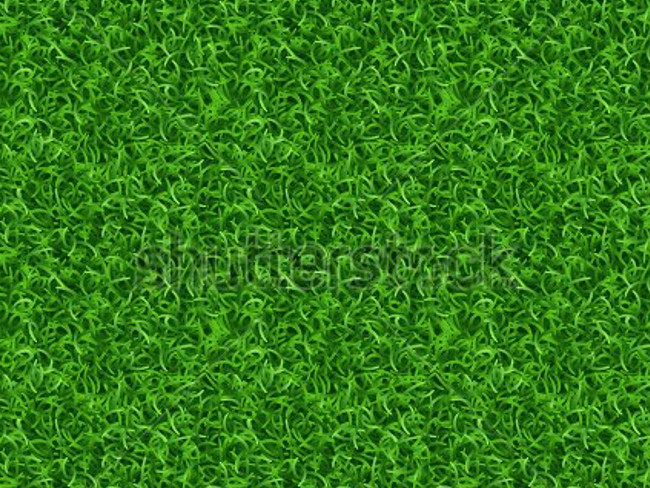 green meadow texture