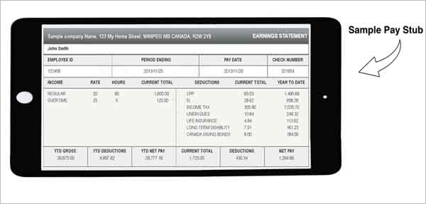 Canadian Paycheck stub generator Online to use