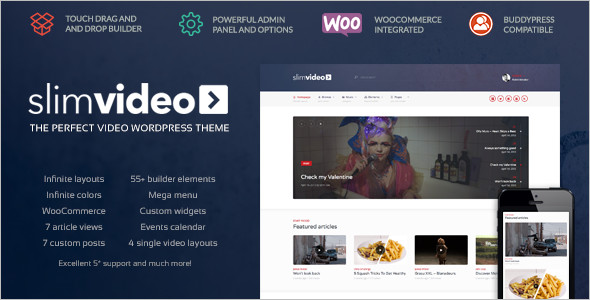 Entertainment Video WordPress Template