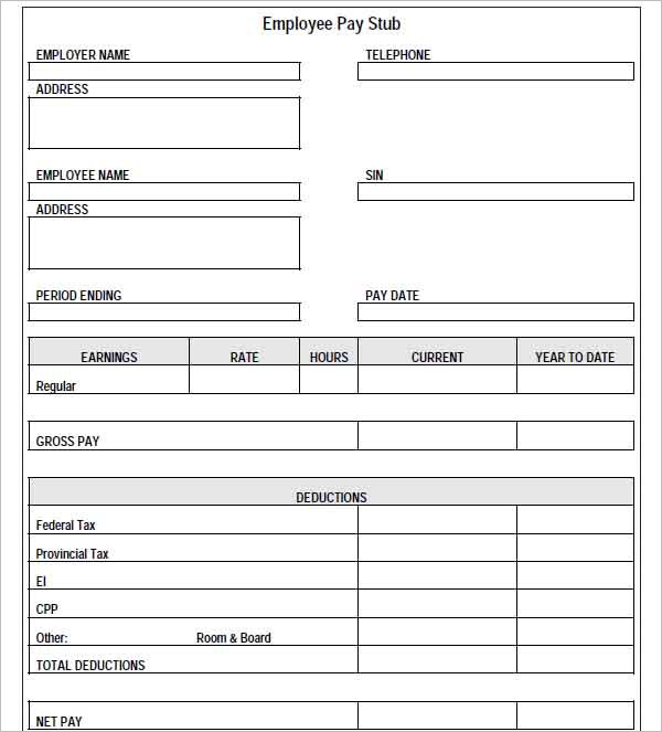 Pay Stub Template PDF download