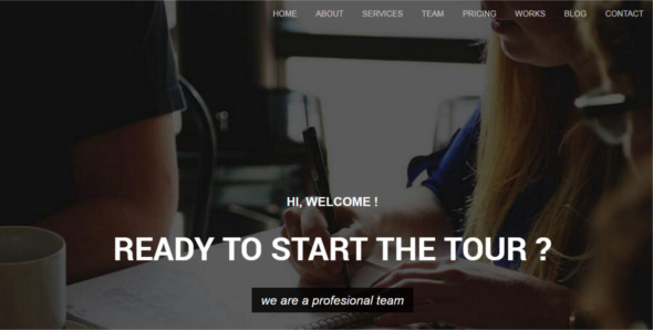 Professional Website Layout Template