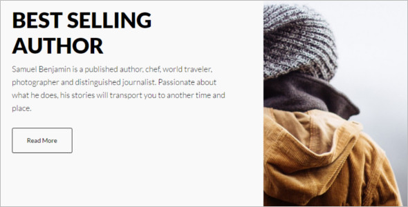 Selling Author WordPress Template