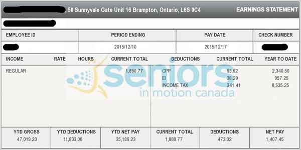 Simple Pay Stub canadian template