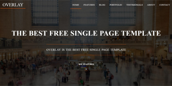Single Page Website layout Template