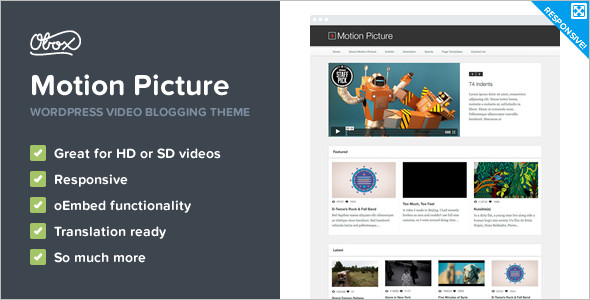 Video Picture WordPress Template