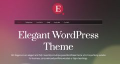 60+ Best Elegant WordPress Themes